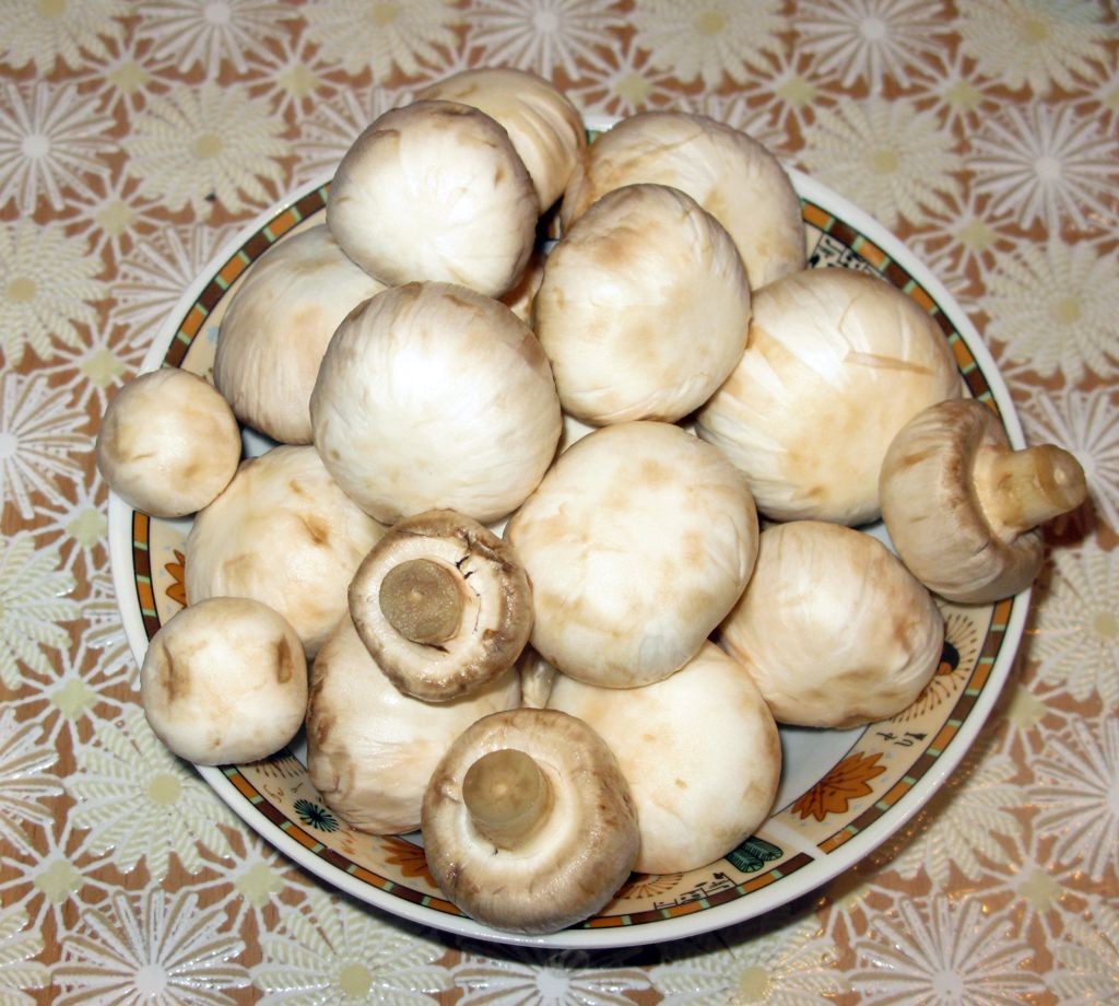 Крученики из свинины с грибами  (3)