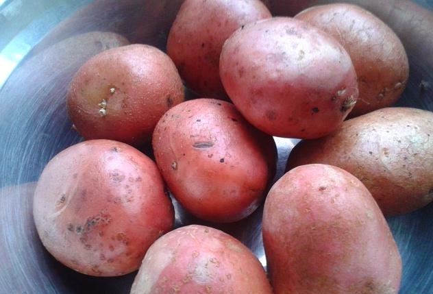 Секреты вкусного жареного картофеля (2)