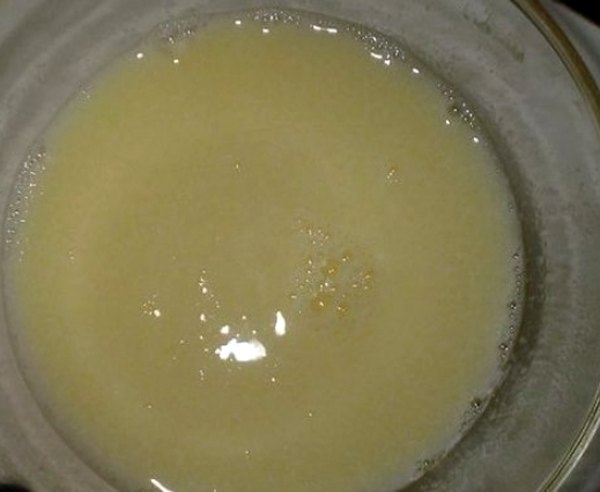 Сырная улитка