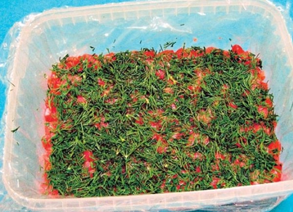 Красная рыба под шубой салат1