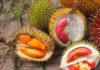 durian-korolevskij-vkus-i-zapax-nishhego