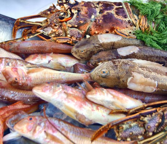 soveti-dlya-lubitelei-ribi