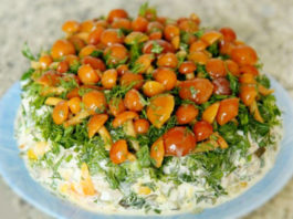 Салат “Нежное облако” salat-nezhnoe-oblako