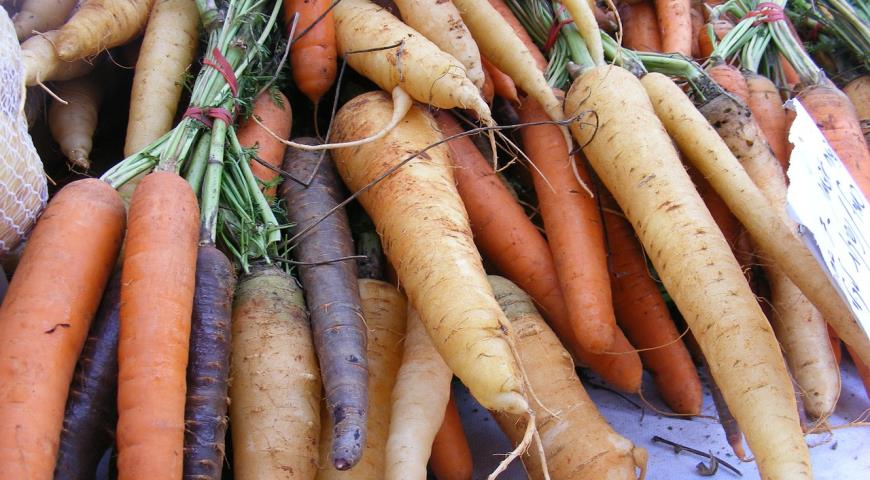 7 овощей разного цвета и их польза для здоровья